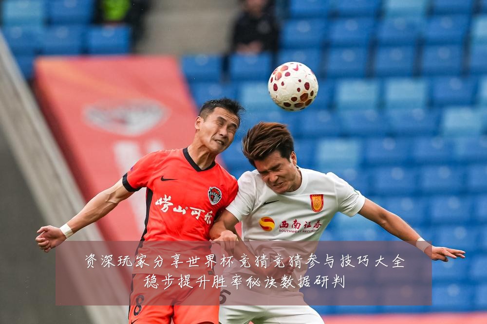 资深玩家分享世界杯竞猜竞猜参与技巧大全稳步提升胜率秘诀数据研判