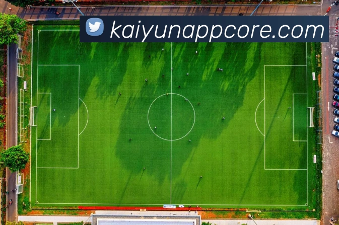 开云平台展示图